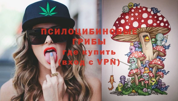 прущая мука Алзамай