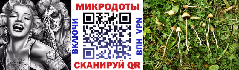 Псилоцибиновые грибы Cubensis  ссылка на мегу как зайти  Островной 