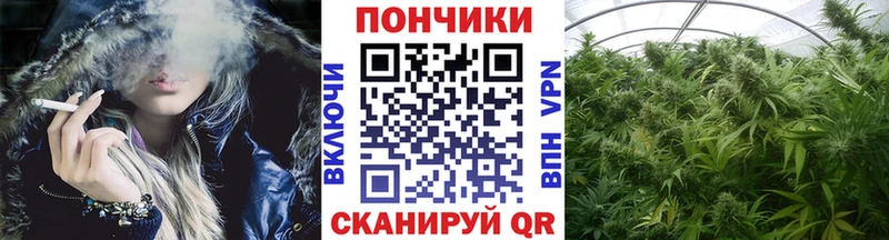 цены   Островной  Каннабис планчик 